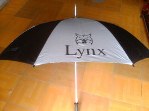 廣告?zhèn)銏D片,廣告?zhèn)愀咔鍒D片 廣東省惠州市惠陽區(qū)秋長鎮(zhèn)欣嘉雨傘廠,